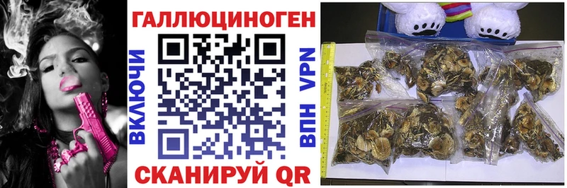 купить наркоту  Агидель  Псилоцибиновые грибы мухоморы 